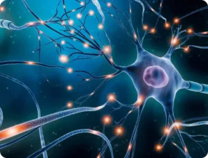 Brain and Nerver Care