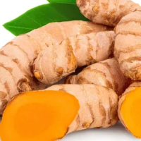 Curcuma